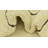 Aabha Ivory Rug