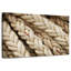 Ropes Aletra-108929268