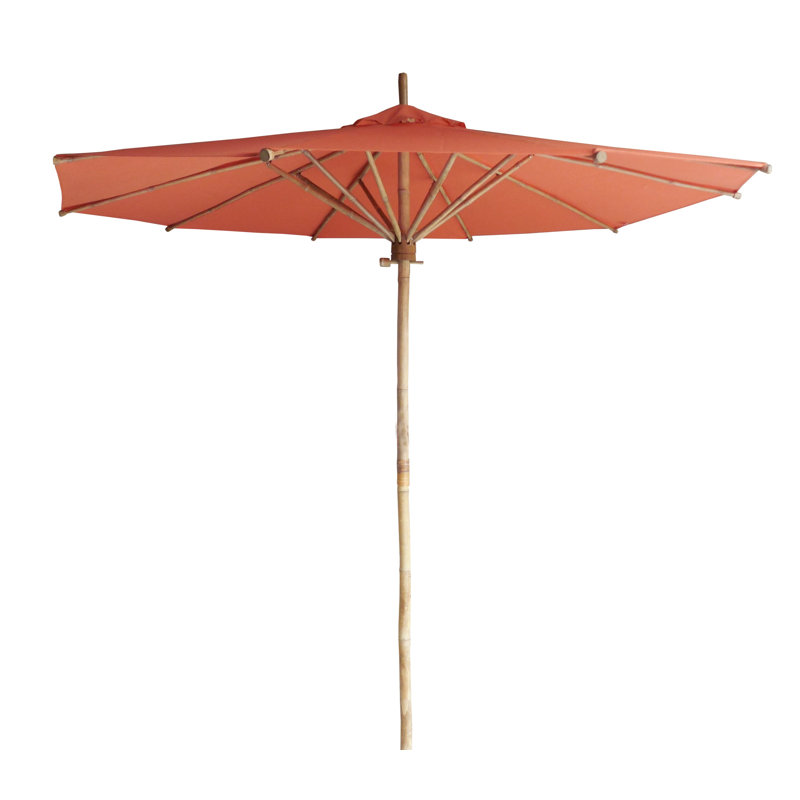 Parasol 7 pi Esai, Brun