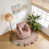 Rose est en rupture de stock