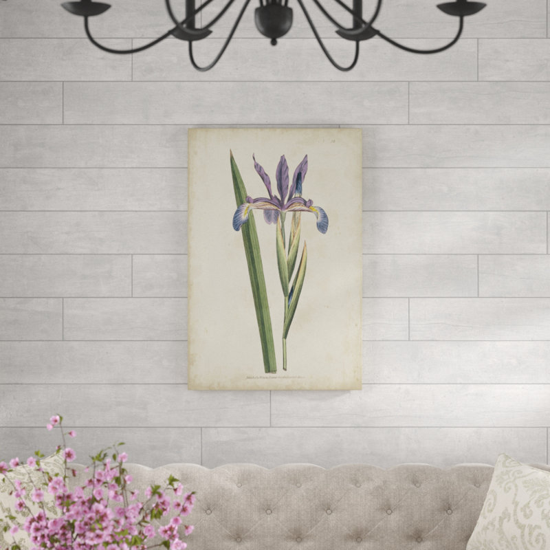Lavender Curtis Botanicals III - Painting Print, Wrapped Canvas, 30cm H x 20cm W