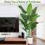 Aneekha 200cm Faux Plant