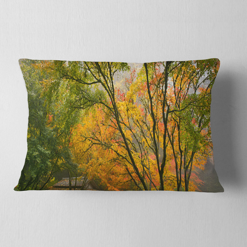 Canopy of Maple Trees in Fall - Landscape Printed Throw Pillow