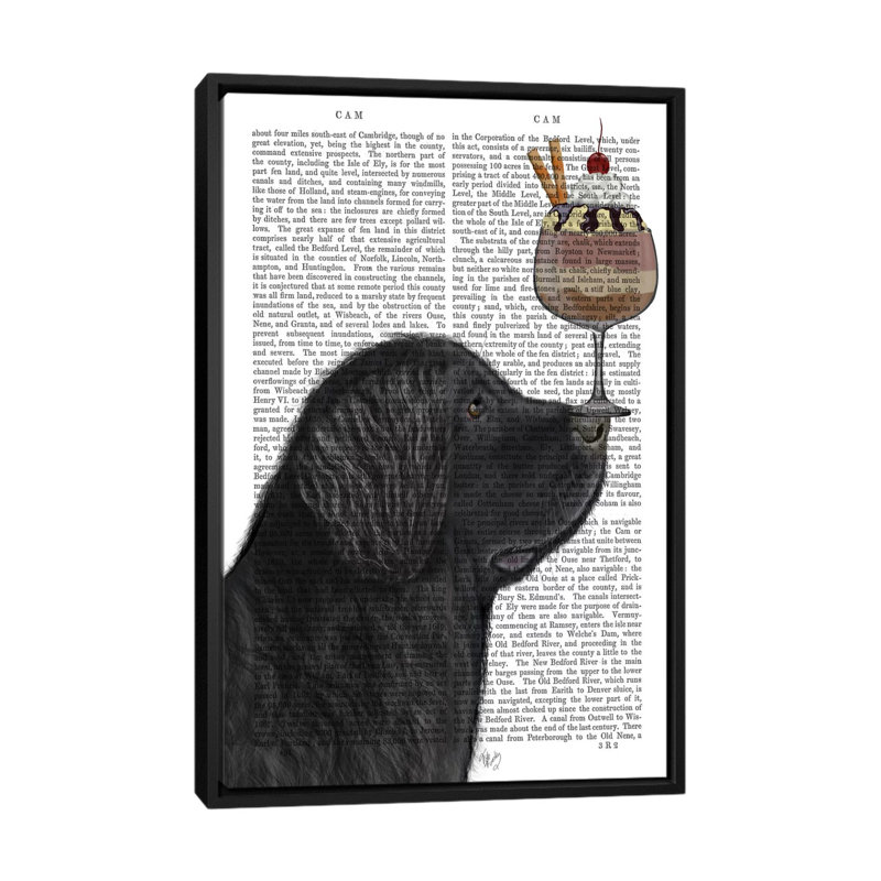 Impression sur toile tendue Fab Funky, Toile encadrée noire, H 26 po x l 18 po x P 1,5 po, Pas de tapis