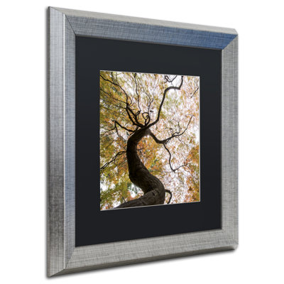 «Under a Japanese Maple 2», reproduction de photo carrée encadrée