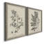 «Antique Black and White Botanical IV», ensemble de 2 reproductions d'art sur toile-1516307828-1516307833