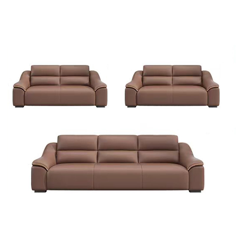 Simple elegant comfortable sofa set