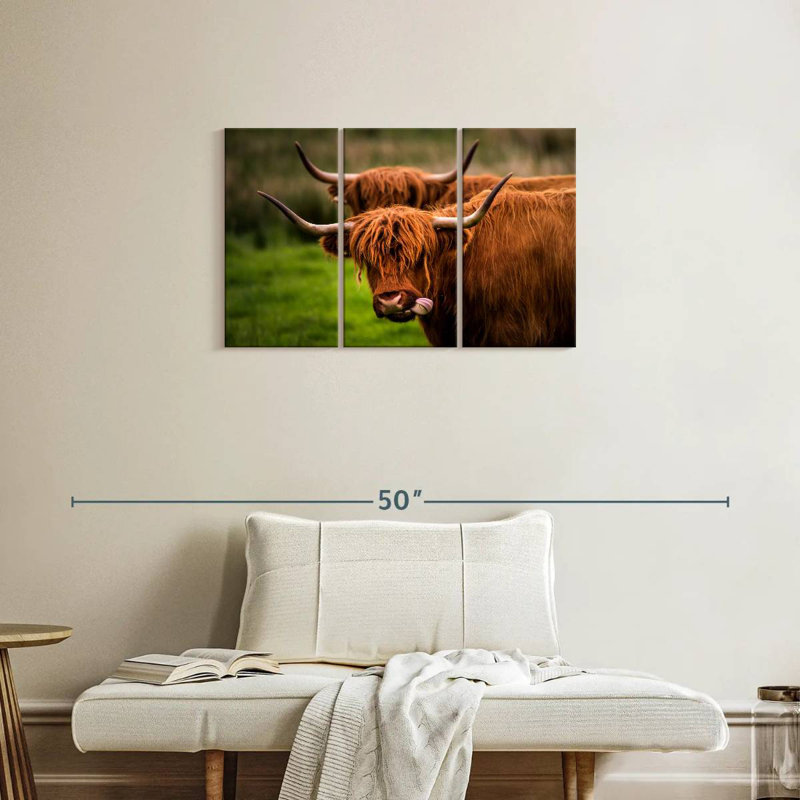 Brampt Fluffy Highland Cows, 20" H x 33" W