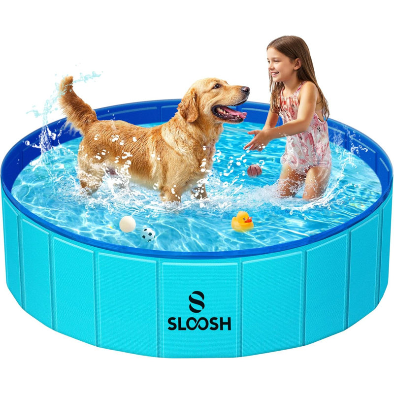 Piscine pliable pour chien Kiddie