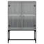 Aanvi Steel Standard Accent Cabinet-1763828317