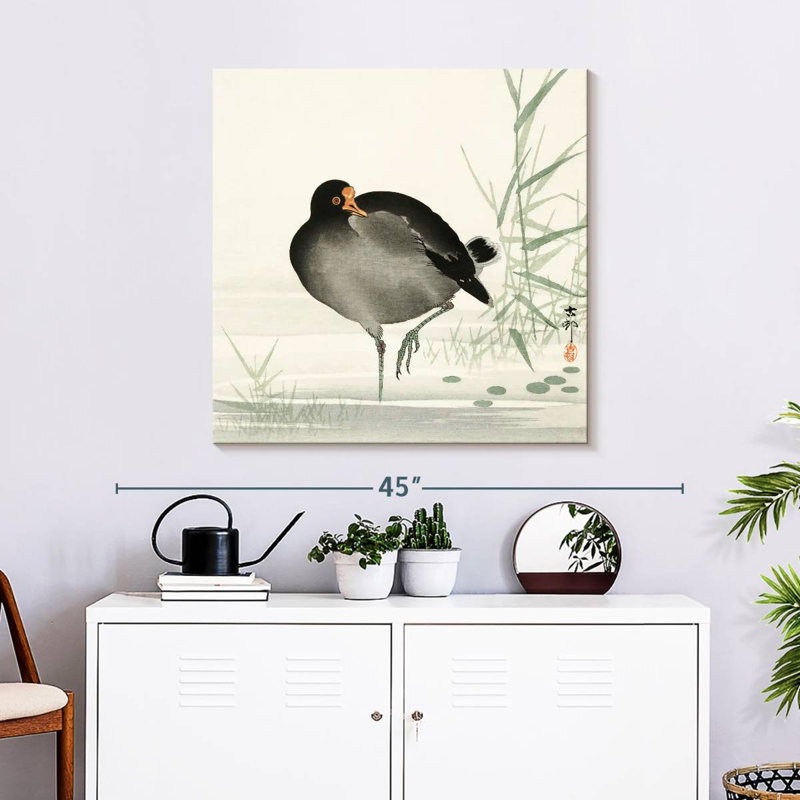Aldoris Moorhen