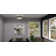 Starlight 4-Light Semi-Flush Mount