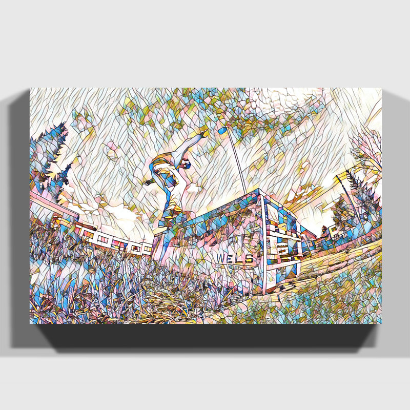 Wrapped Canvas Print, 50cm H x 76cm W