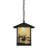 Rustic Lodge 1 - Light Black Lantern Pendant