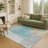 Machine Washable Indoor/Outdoor Molewski ACN2341 Abstract Rug-1397803933
