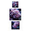 Horloge murale traditionnelle lilas Moonmit Whisper