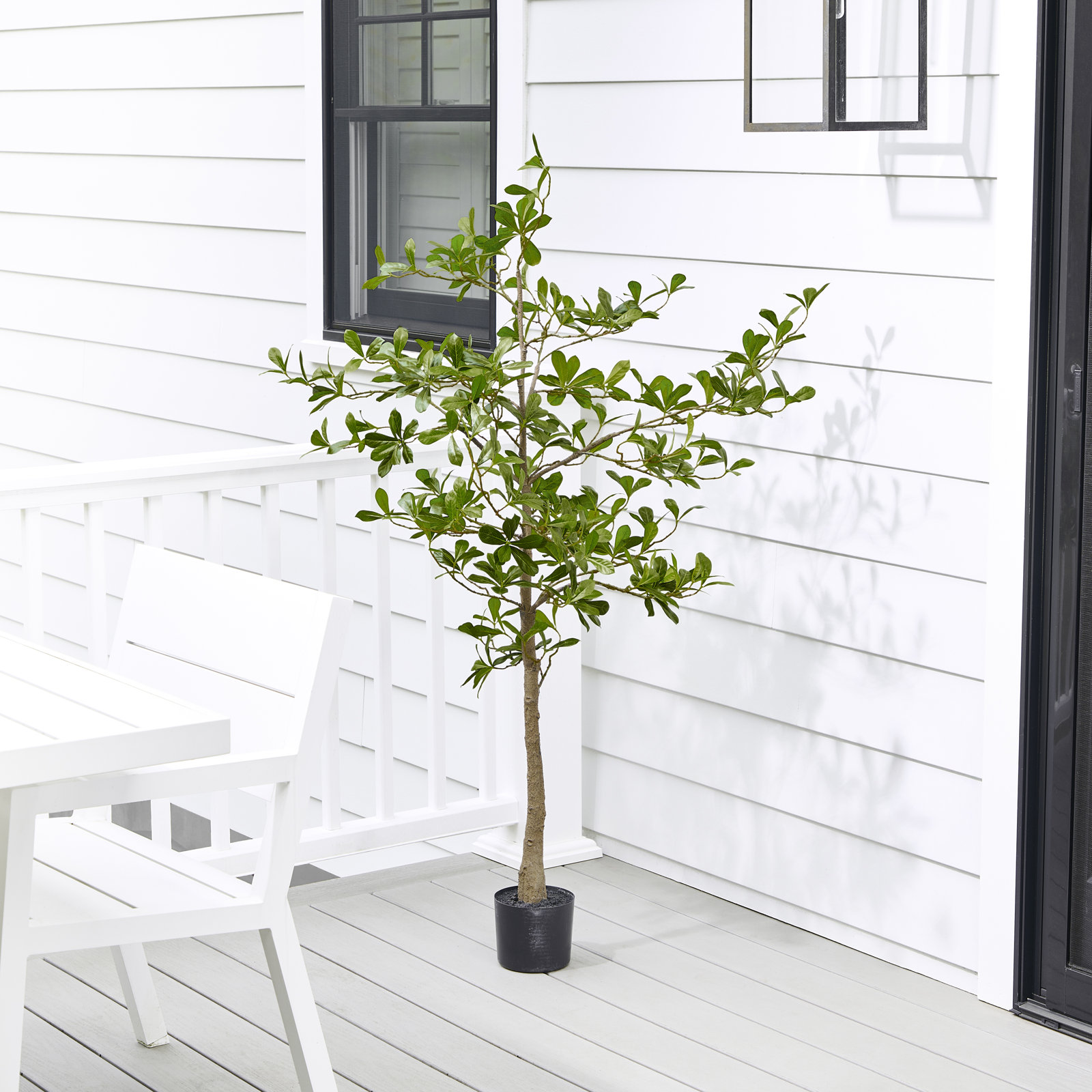 6' UV Potted Almond Tree, 60 in x 22 in