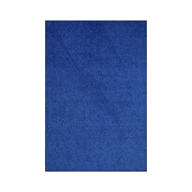 Modern Plush Pet and Kids Friendly Solid Color Neon Blue Area Rugs, Stain & Fade Resistance, Perfect for Living Room, Dining Room, Bedroom, Playroom and Kidsroom, Event, Wedding, Amberlie Rug