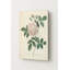Rosa Indica / Grande Indienne (vers 1817) — Portrait Art mural en métal-1799006869