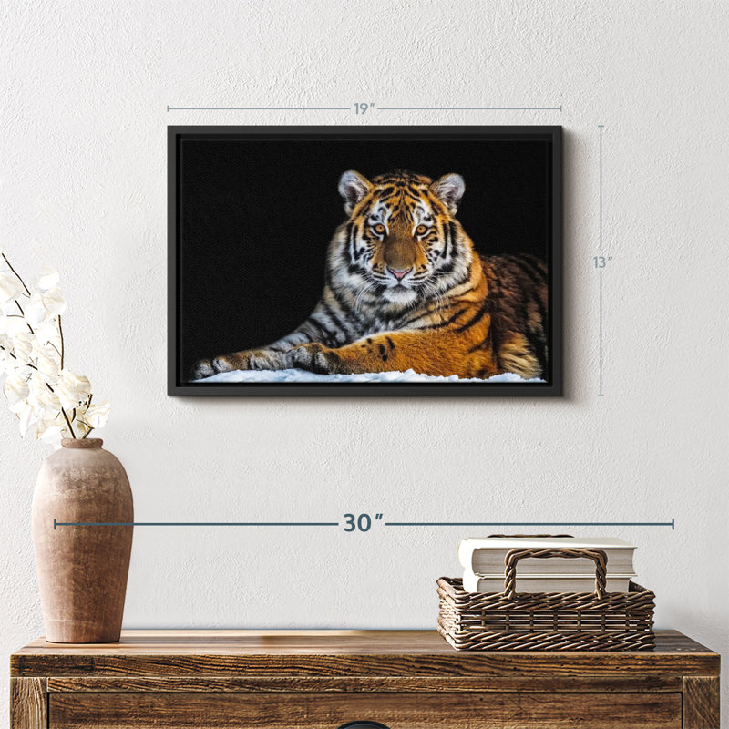 Animal «Snapshot Wall Art», H 13 po x l 19 po
