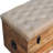 Beige Buffalo Hide Leather Storage Trunk