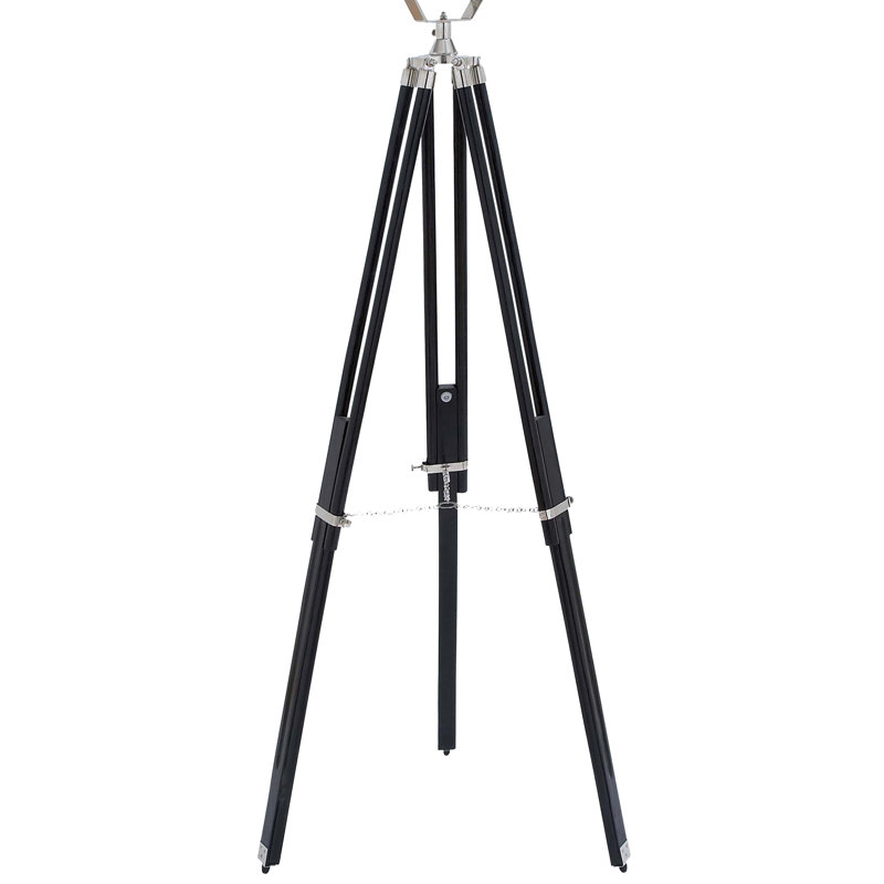 Arly 75'' Black Tripod Floor Lamp