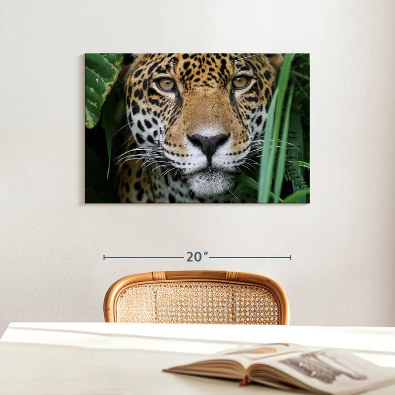 Brampt Amazon Jungle Jaguar, 16" H x 24" W