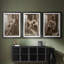 ABSTRACT Series CCLXXXIX  -Custom Framed  Premium Print W Matt - 3 Pieces-944257143-944257141