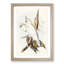Blood-Stained Cockatoos by Elizabeth Gould - Picture Frame Art Print-55545450-55545449