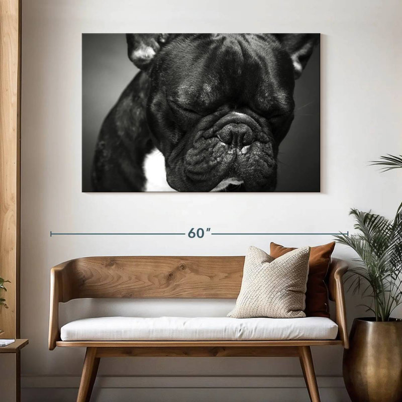 Brampt Melancholic French Bulldog, 32" H x 48" W