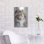 «Maine Coon Cat» par Petals Prints Design «Maine Coon Cat» par Petals Prints Design-101657611