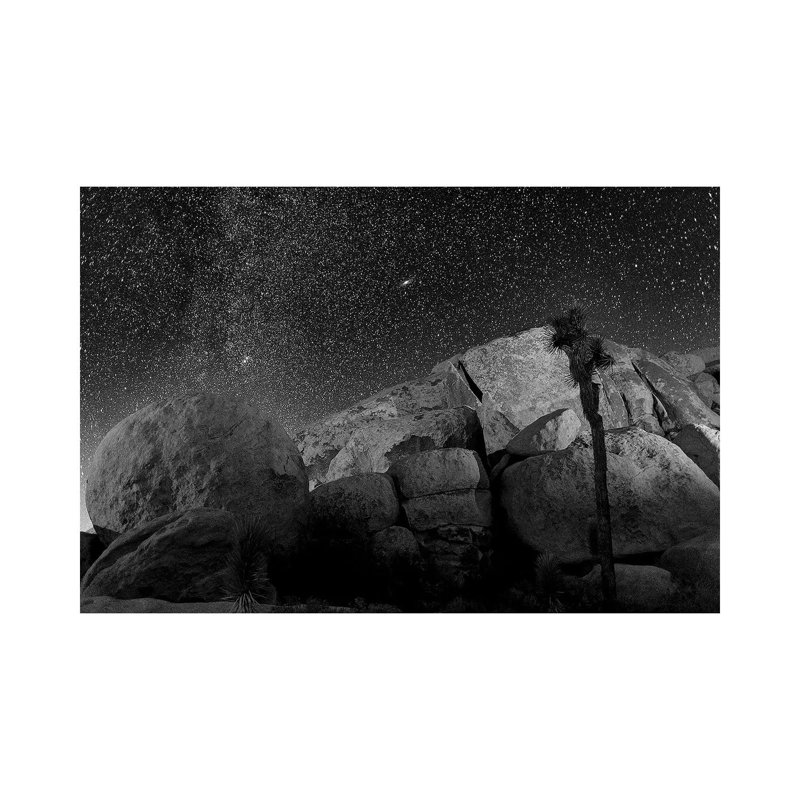 Joshua Tree Sea Of Stars, 2017 by SVP Images - Wrapped Canvas Print, 101.6 cm H x 66.04 cm W