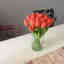 Photos des clients 1 de 2