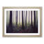 A Mysterious Summer Forest - Framed Print-1983029197-1983029196
