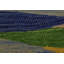 Tapis vert / bleu / jaune en laine à motif abstrait fait à la main 6 pi 6 po x 9 pi 9 po Madee