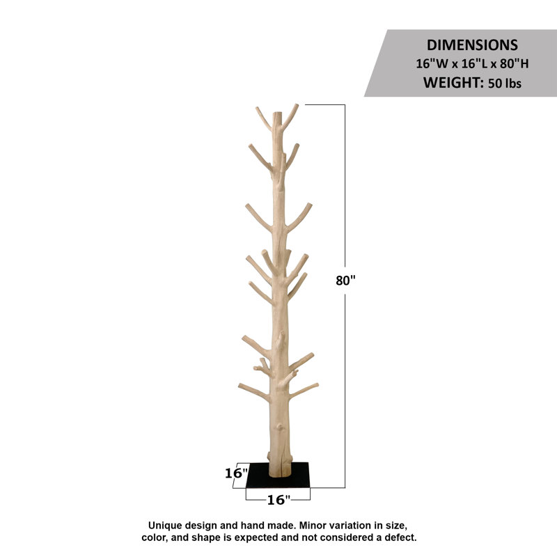 Lily's Living Mangosteen Tree Floor Coat Rack W/Iron Stand, 80 Inch Tall, Natural Wood And Black