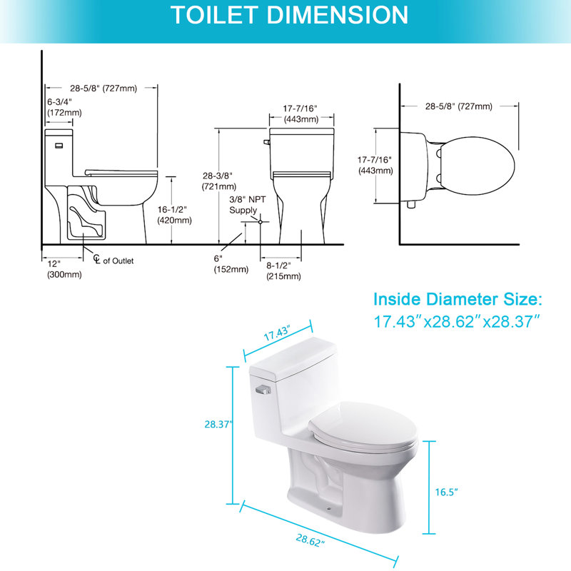 Toilette moderne en céramique - Système de chasse d'eau Siphon, propre et hygiénique avec une grande durabilité