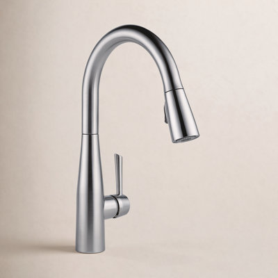 Essa Pull-Down Kitchen Faucet