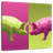 Brampt Neon Pigs-109394735