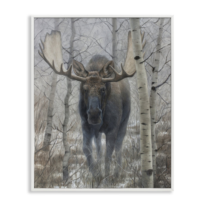 «Moose in Winter Birch Forest», dessin de James Corwin, H 14 po x l 11 po, Estampe numérique encadrée blanc bord de mer