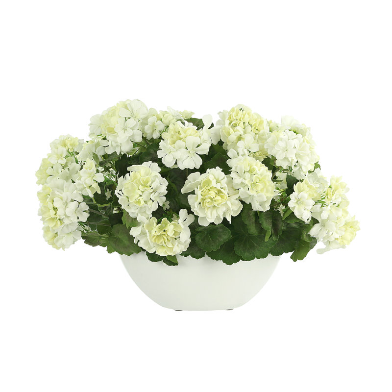 UV Protected Geranium Arrangement In Oblong Vase