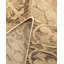 One-of-a-Kind 8' 2" X 9' 6" Hand Knotted Area Rug