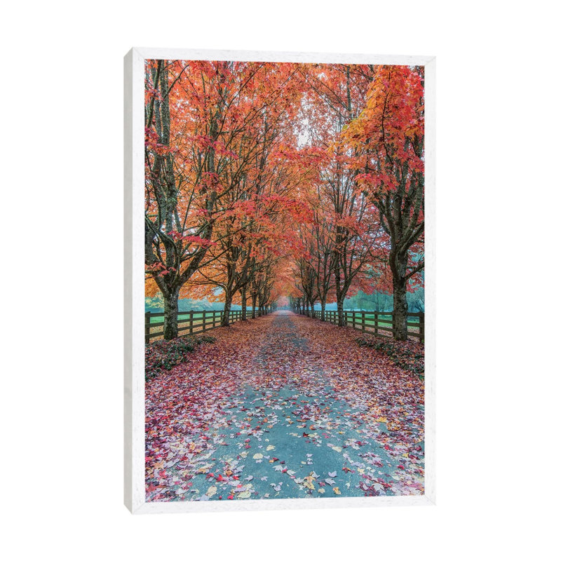 USA, Washington State, Snoqualmie. Autumn country lane. 1 Piece Wall Art on Canvas, 66.04 cm H x 45.72 cm W, White Framed