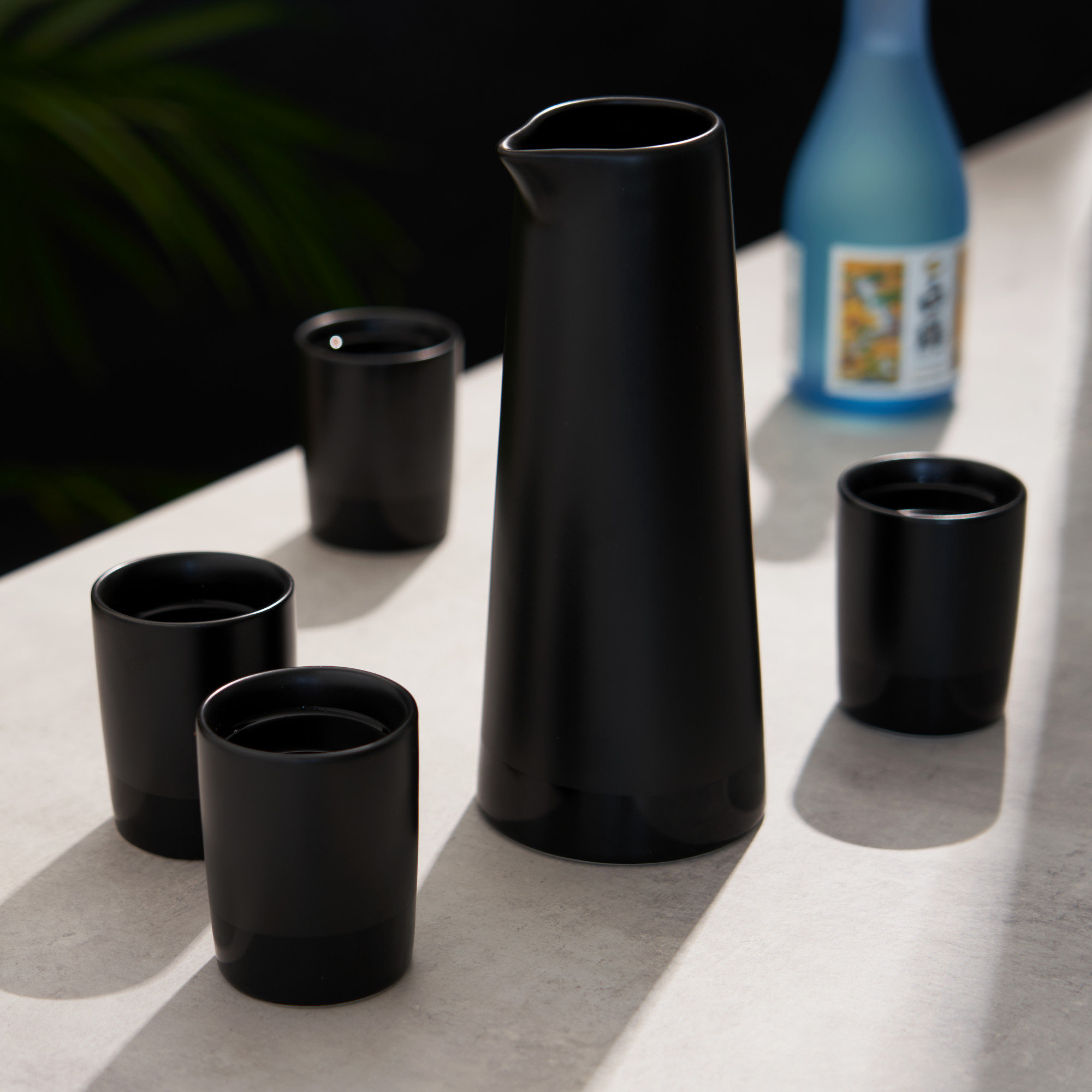 Harrison 5-Piece Stoneware Sake Set in Black