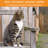 Cat House
