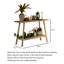 Console en bois naturel avec tablette ouverte pour le couloir