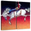 Mehar Rodeo Fireworks-109090913