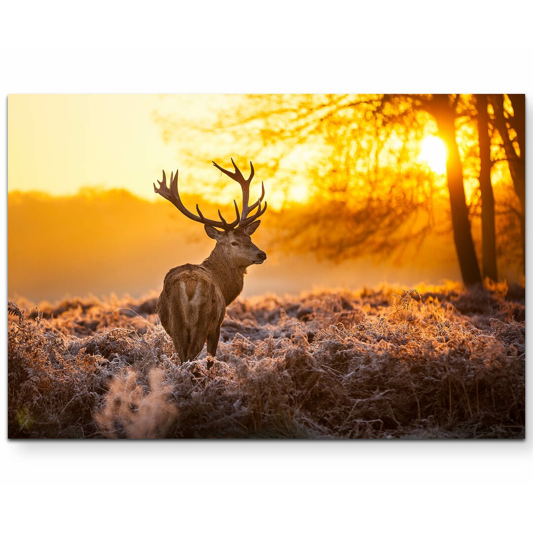 Leinwandbild Hirsche im Morgenlicht