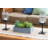 Succulent Garden with Concrete Planter