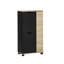 Soldonia Freestanding Bathroom Cabinet-2013190172